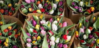 Uniwersalne pomysły na prezent dla teściowej