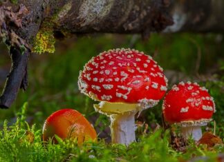 Jak rozpoznać toksyczne miejsce pracy?