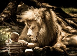 Jak się nie denerwować w czasie rozmowy? Jak się nie denerwować w czasie rozmowy?