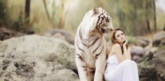 Na czym polega ochrona praw pracowniczych?