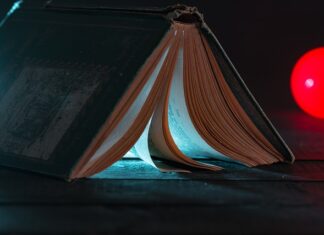 Po co firmom stażyści?