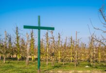 Jakie zmiany do Regulaminu pracy 2023?