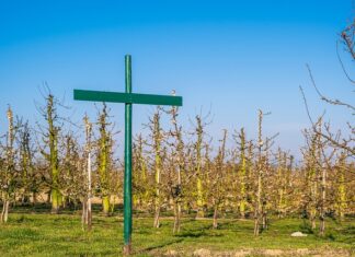 Jakie zmiany do Regulaminu pracy 2023?