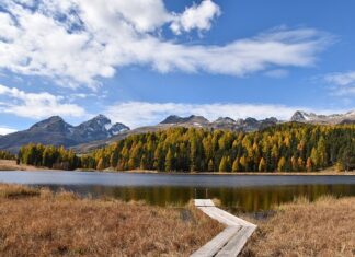 Jakie warunki trzeba spełnić aby dostać się na staż?