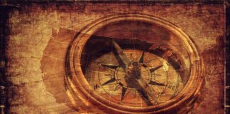 Co daje stopień niepełnosprawności?