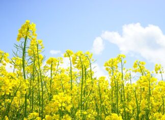 Jak zostać przedstawicielem handlowym bez doświadczenia?