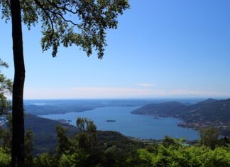 W jaki sposób mój przełożony może mnie wspierać w realizacji celów i zadań? W jaki sposób mój przełożony może mnie wspierać w realizacji celów i zadań?