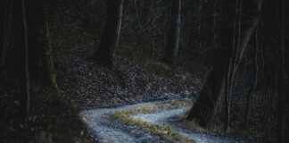 Co nie jest cechą stosunku pracy?