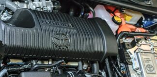 Co to jest synergia w migomacie?