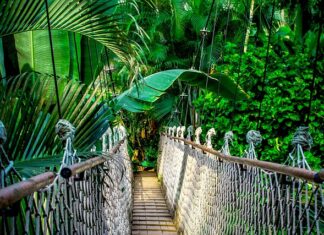 Czy Amazon dobrze płaci? Czy Amazon dobrze płaci?