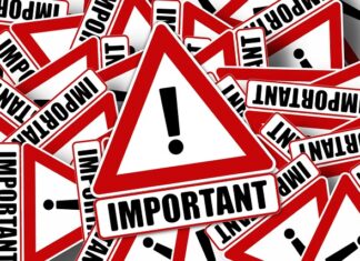 Co jest ważne w zespole?