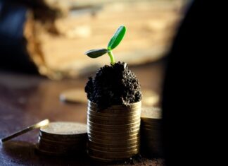 Czy da się żyć z dywidend? Czy da się żyć z dywidend?