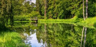 Co wpływa na przyciągnięcie inwestorów do Polski?