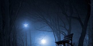 Dlaczego Polska jest atrakcyjna dla inwestorów zagranicznych?