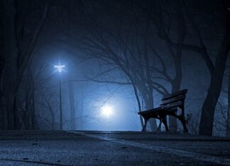 Dlaczego Polska jest atrakcyjna dla inwestorów zagranicznych?