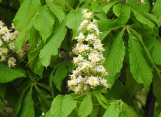 Jakie przedmioty najlepiej zdawać na maturze? Jakie przedmioty najlepiej zdawać na maturze?