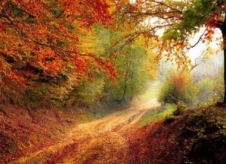 Czy spadek inflacji oznacza spadek cen?