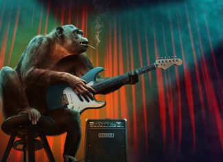 Jakie są najważniejsze Początkowe etapy budowy portfela inwestycyjnego?