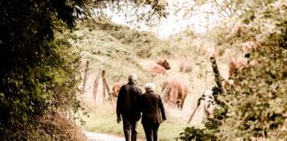 Jaka emerytura przy zarobkach 3000 netto?