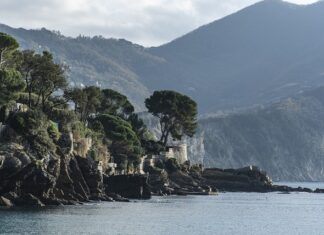 Ile kosztuje licencja agenta ubezpieczeniowego?