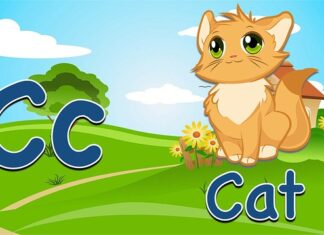 Ile fiszek dziennie? Ile fiszek dziennie?