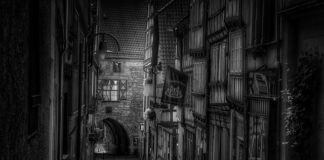 Jak dzielimy instytucje?