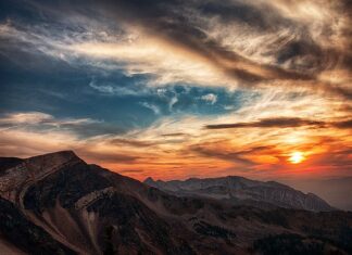 Ile procent złota w portfelu?